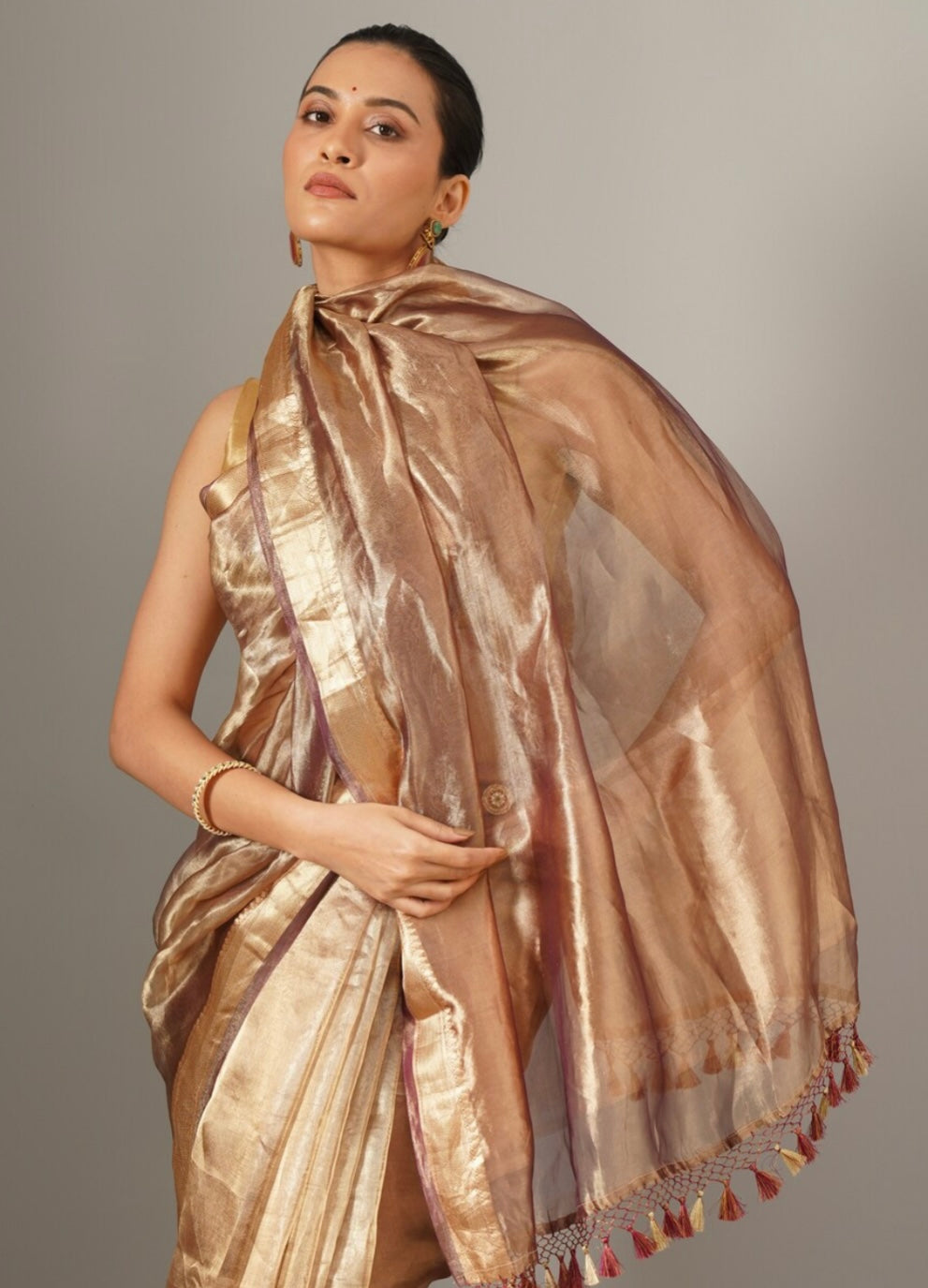 Maroon and Gold Tissue Silk Handloom Banarasi Saree